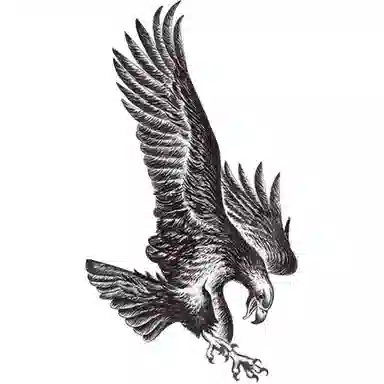 ins