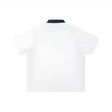 ZOTRANS POLO