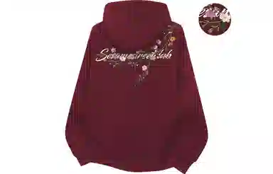 Sesame Street Hoodie