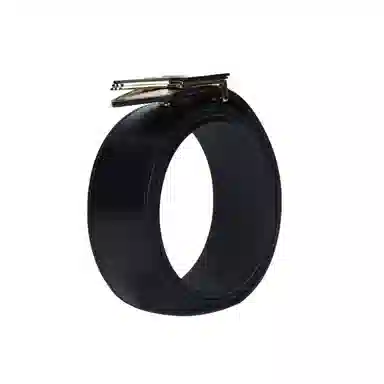 Louis Vuitton Optic Belt