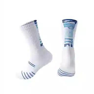 Shiwa Socks
