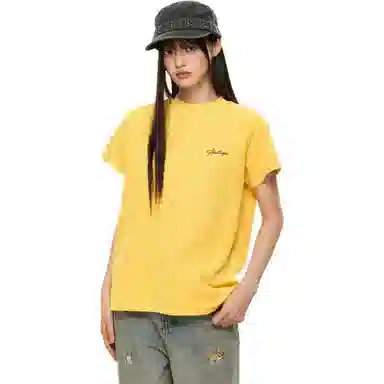 PEA 260Gchic T