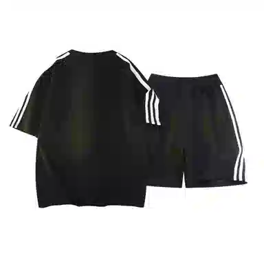 TSMLXLT 260g logoT