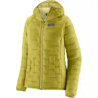 patagonia Micro Puff Logo