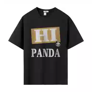 HIPANDA LogoT