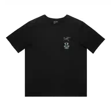 Arcteryx T