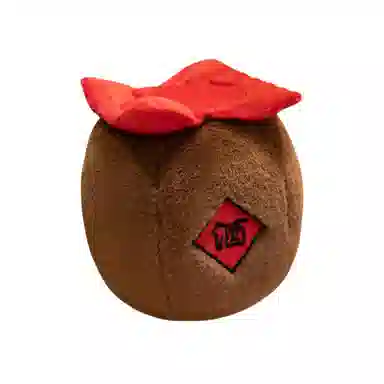 20cm50cm