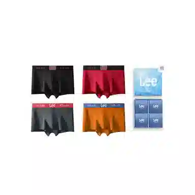 Lee 4