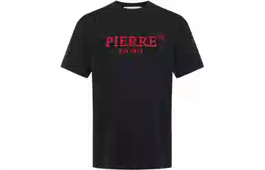 PP PIERRE PIERUCCI LOGOT