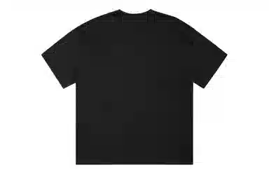 ICONS Lab ICS T