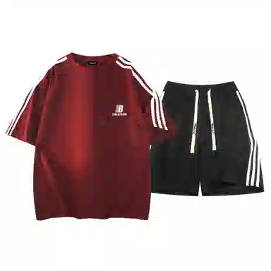 TSMLXLT 260g logoT