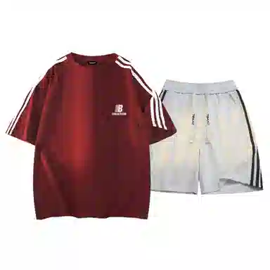 TSMLXLT 260g logoT