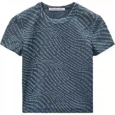 alexander wang FW25T