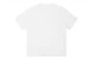 ICONS Lab ICS T