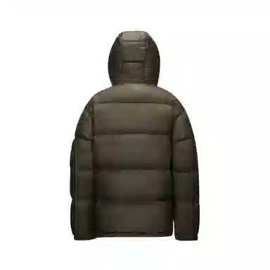 CAMEL Penguin Series