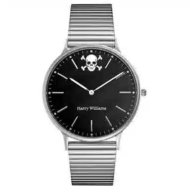 HARRY WILLIAMS Skull Series Quartz Watch
