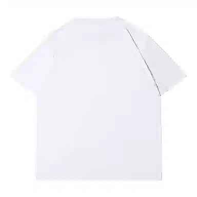 HIPANDA T
