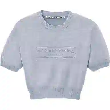 alexander wang FW25 T