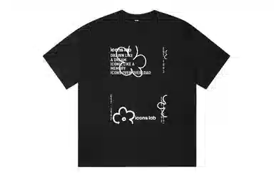 ICONS Lab ICS T