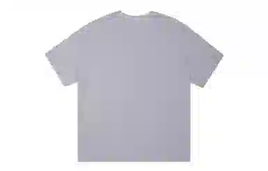 ICONS Lab ICS T
