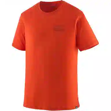 patagonia Capilene Cool Merino Graphic Shirt T