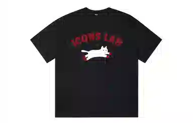ICONS Lab ICS T
