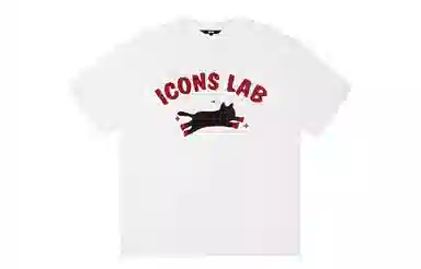 ICONS Lab ICS T