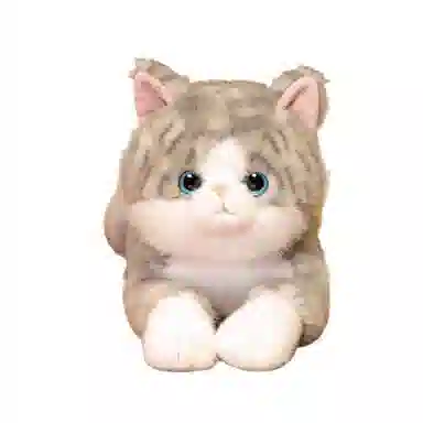 50cm70cm