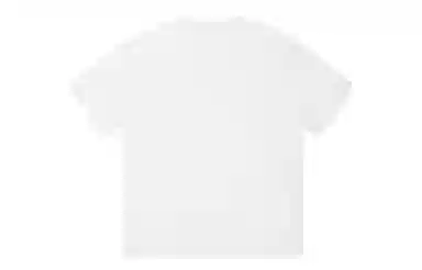 ICONS Lab ICS T