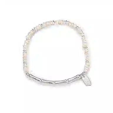 zoo jewel S925