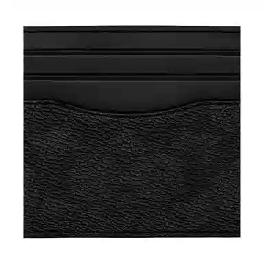 COACH Canvas 10