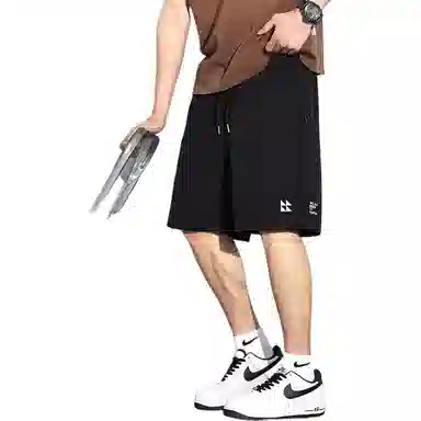 tonlion