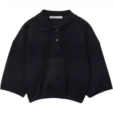 alexander wang FW25 logoPolo