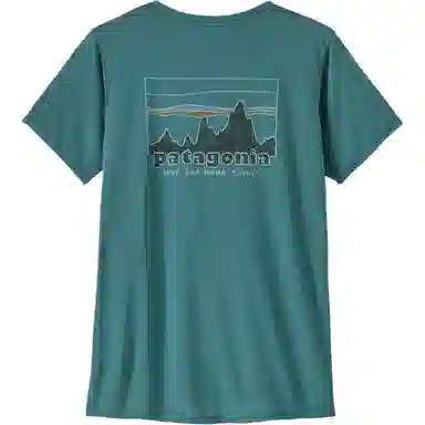 patagonia T