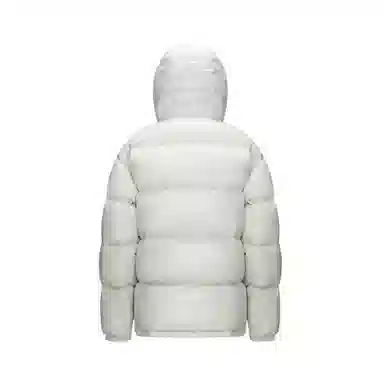 CAMEL Penguin Series