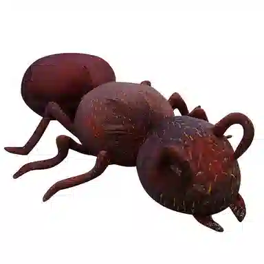 46cm70cm100cm120cm150cm