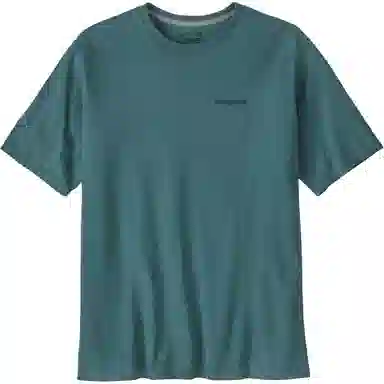 patagonia T