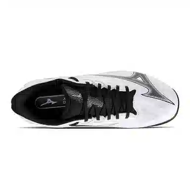 Mizuno WAVE EXCEED COURT AC