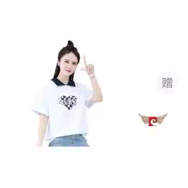 PIERRE CARDIN polo T