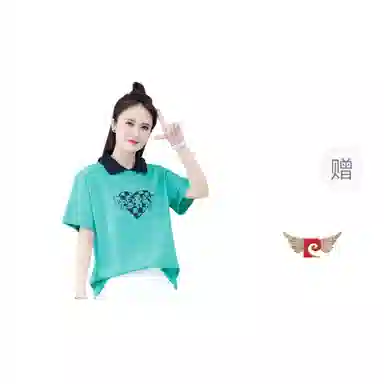 PIERRE CARDIN polo T