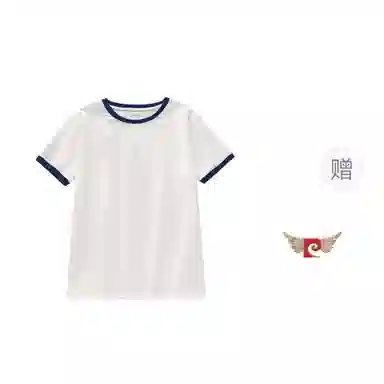 PIERRE CARDIN tins T