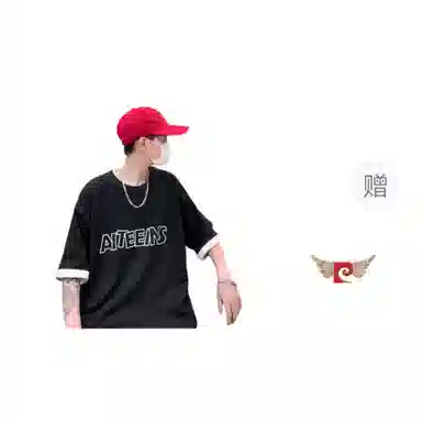 PIERRE CARDIN ins T