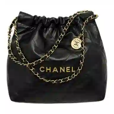 CHANEL 25C 22Bag