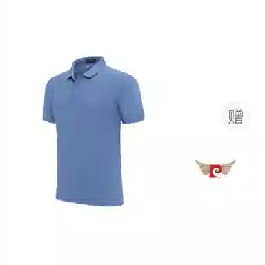 PIERRE CARDIN POLO T