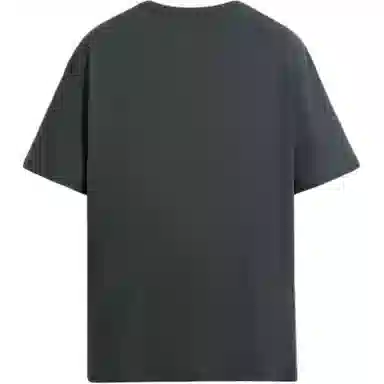 ZARA T