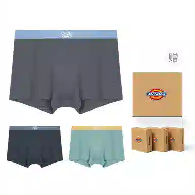 Dickies Seamless Boxer Brief Set