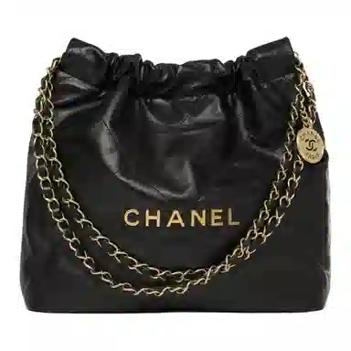 CHANEL 25C 22Bag