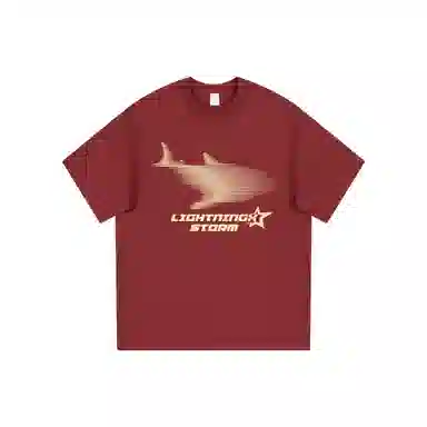 Lightning X Storm LogoT