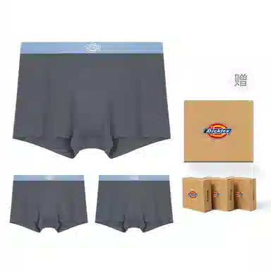 Dickies Seamless Boxer Brief Set
