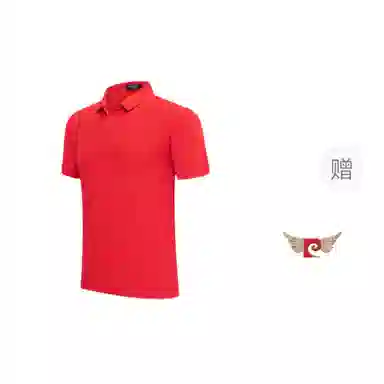 PIERRE CARDIN POLO T